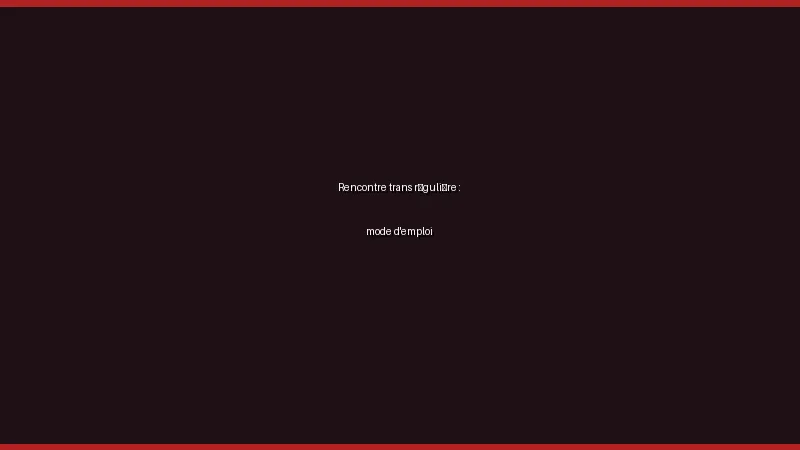 Rencontre trans régulière : mode d'emploi